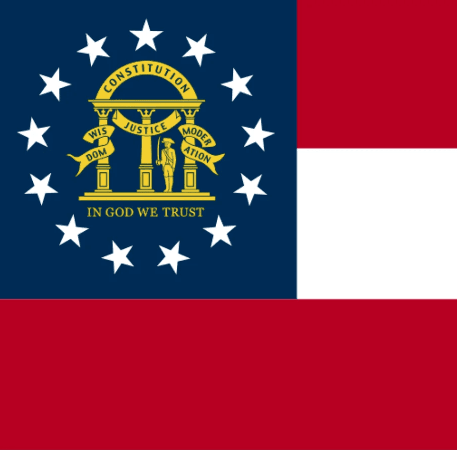 Georgia Republican Senate Primary Winner
