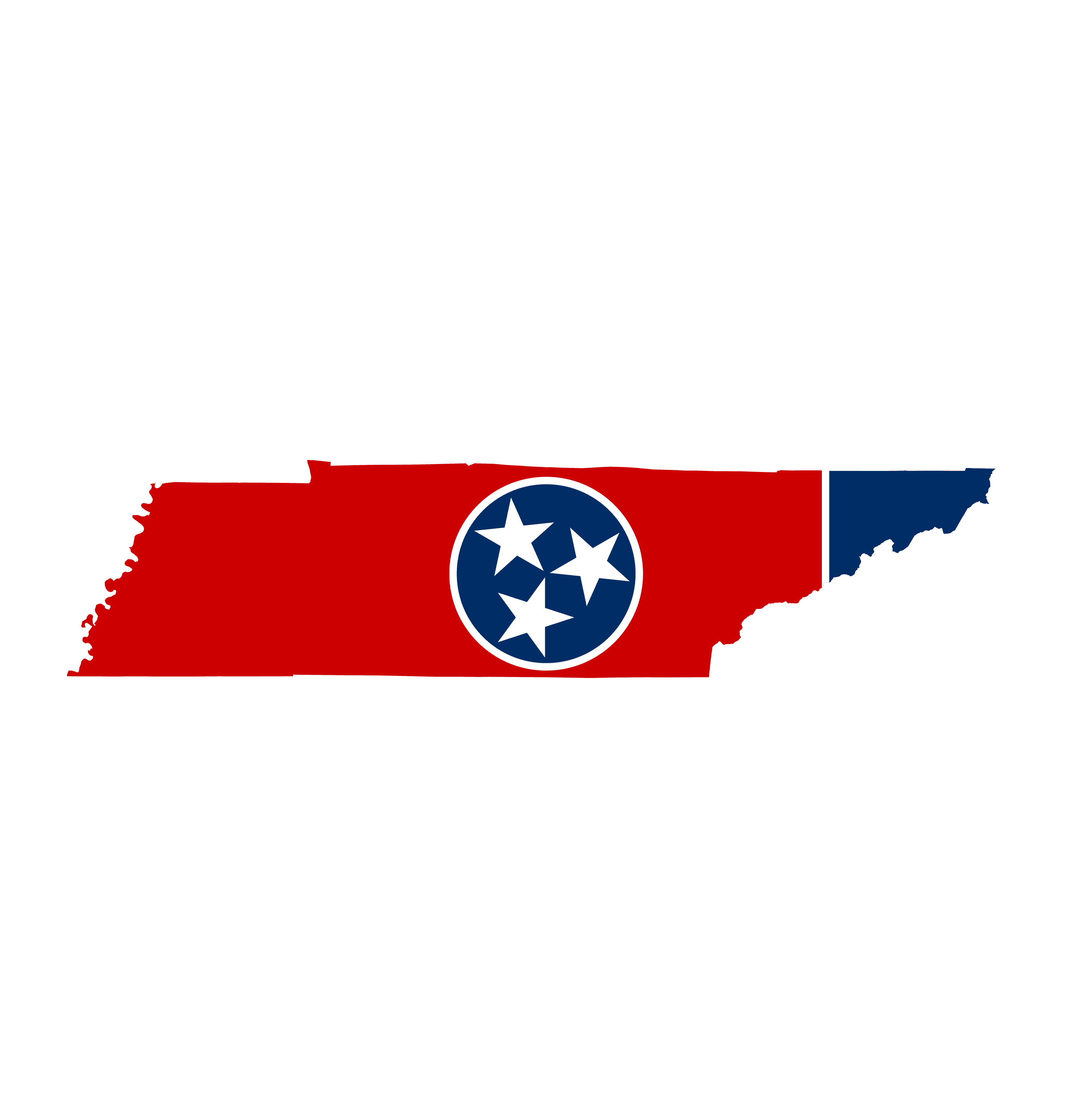 Tennessee Senate Election Winner