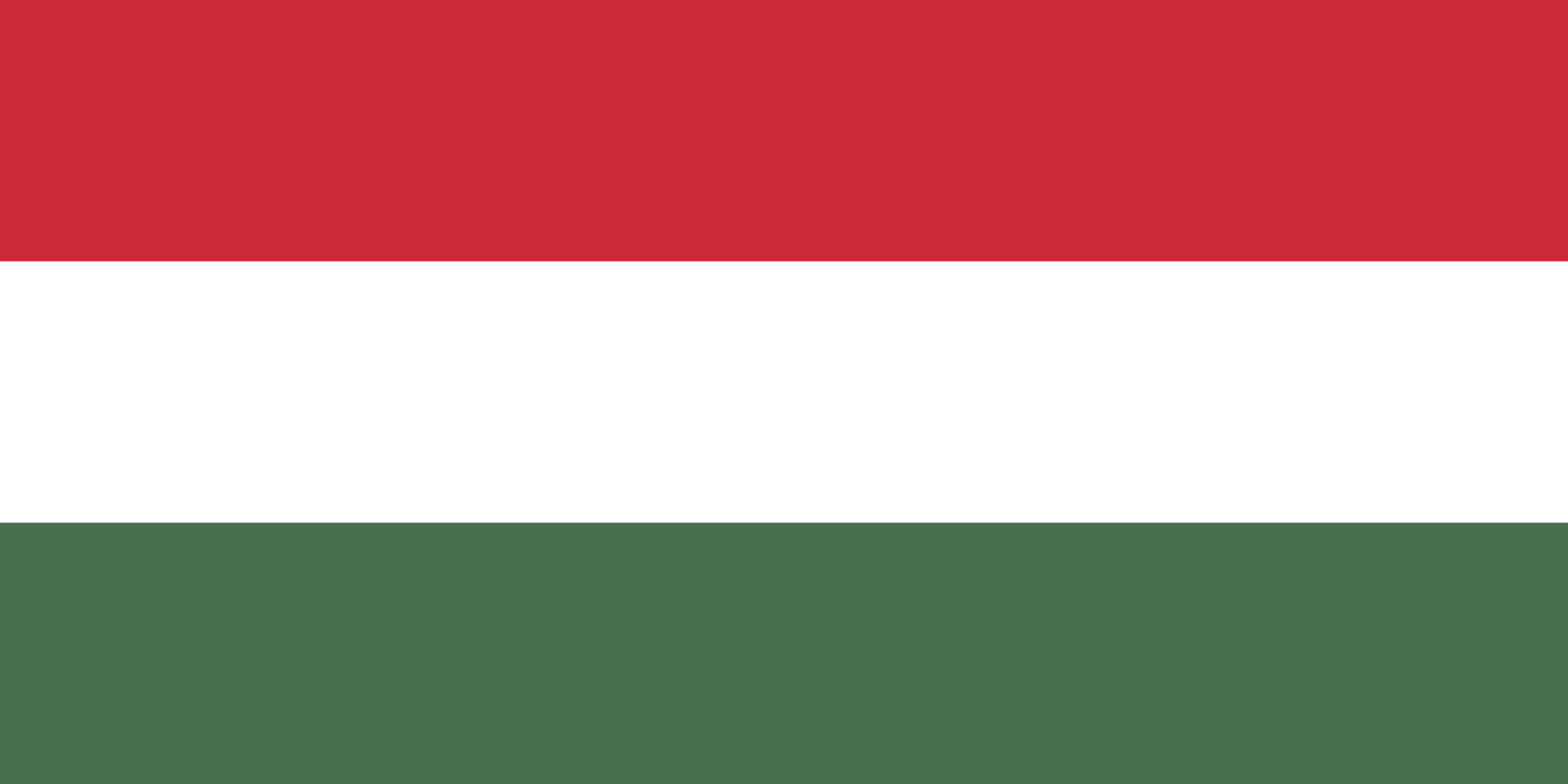 Hungary Parliamentary Election Winner