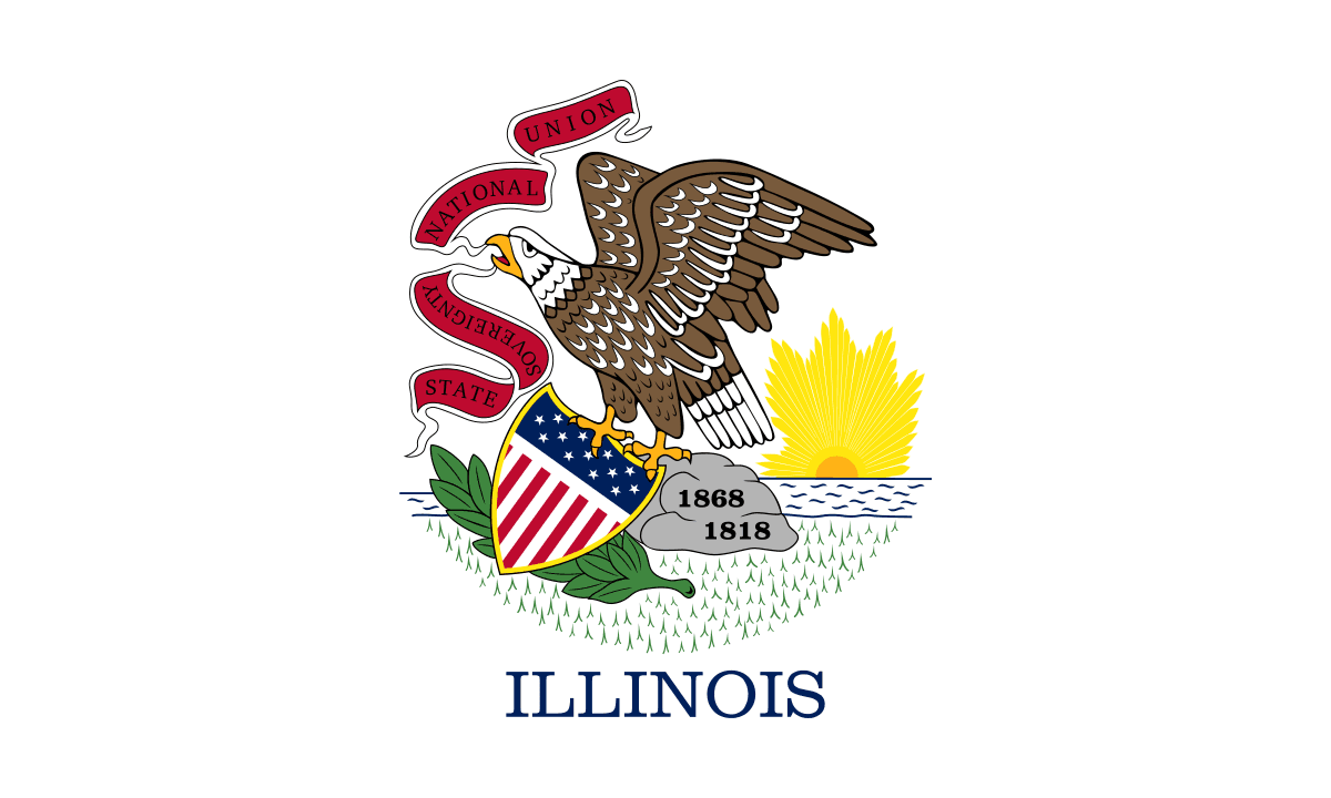 IL-02 Democratic Primary Winner