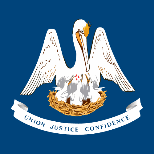 Louisiana Democratic Senate Primary Winner