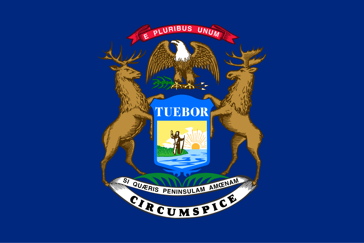Michigan Governor Republican Primary Winner