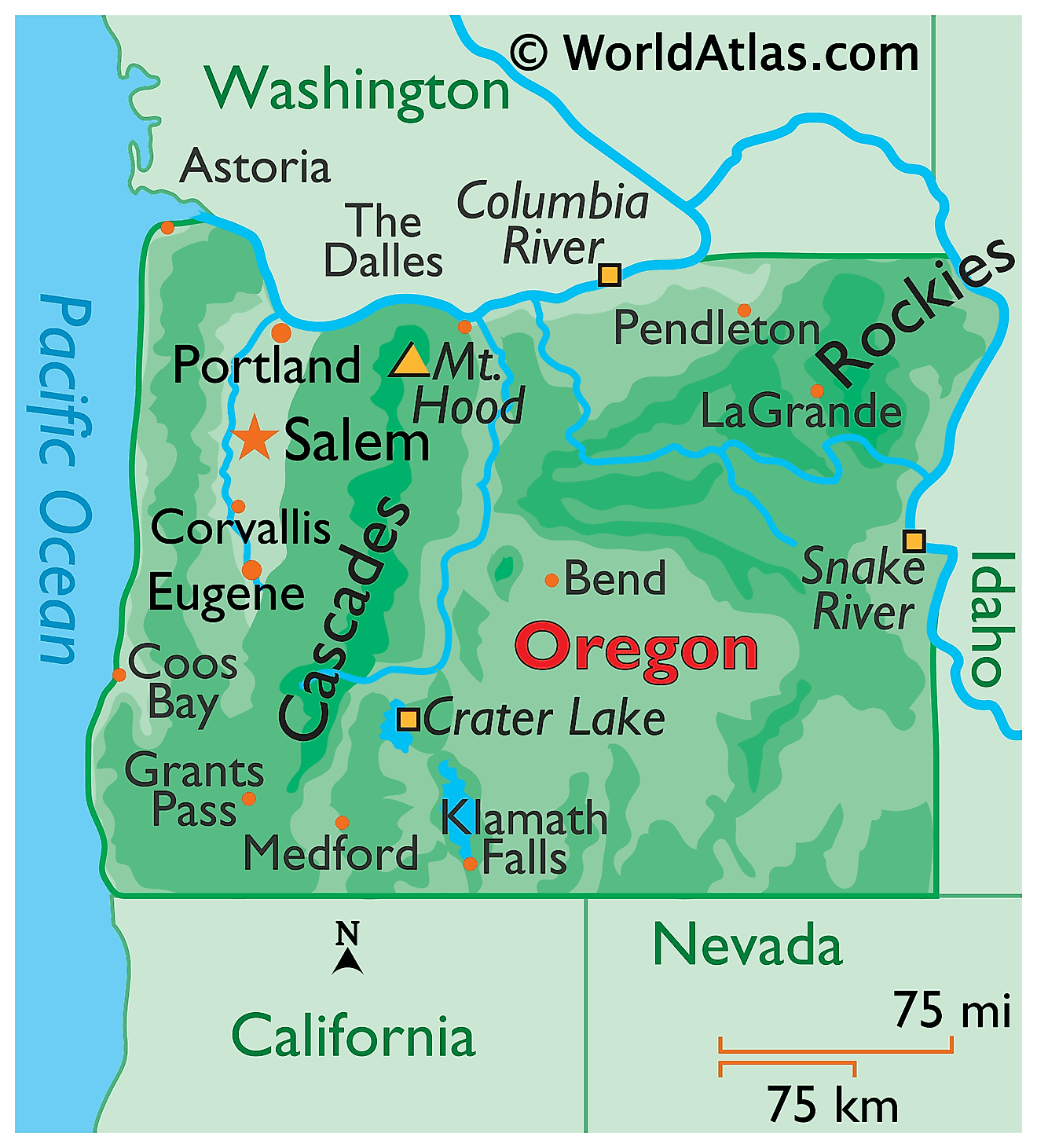 Oregon Democratic Senate Primary Winner