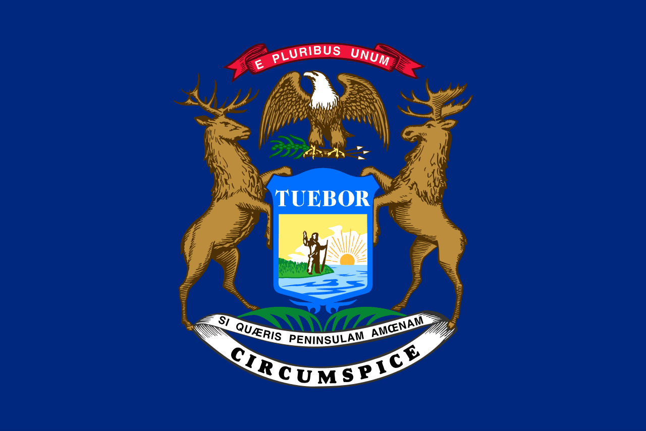 MI-13 Democratic Primary Winner