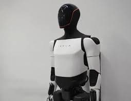 Will Tesla release Optimus by...?